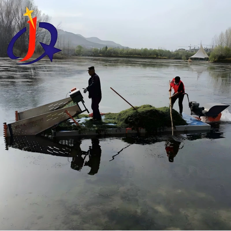 Dirûna gîhayê ya Mini Aquatic Piçûk